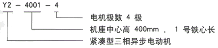 YR系列(H355-1000)高压Y4008-8/280KW三相异步电机西安西玛电机型号说明